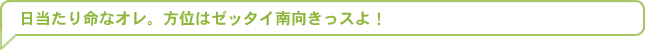 日当たり命なオレ。方位はゼッタイ南向きっスよ！