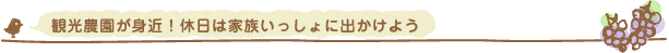 観光農園が身近！休日は家族いっしょに出かけよう