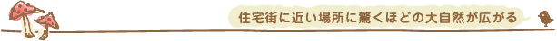 住宅街に近い場所に驚くほどの大自然が広がる